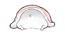 仓鼠漫画图片,萌宠日常趣事大盘点